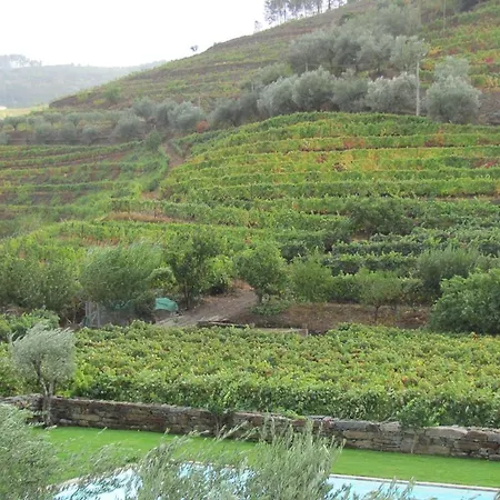 Lantgård Quinta Madureira *