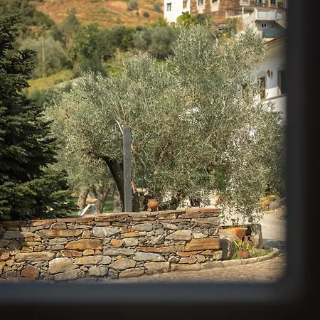 Farma Quinta Madureira *