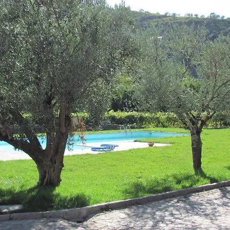 Farm stay Quinta Madureira Alfoloes