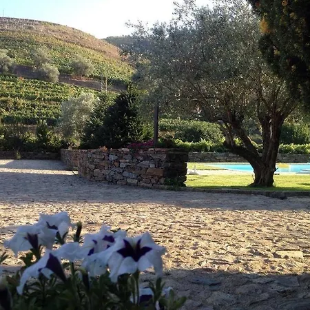 Quinta Madureira Farm stay