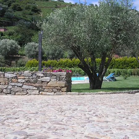 Quinta Madureira Farm stay *