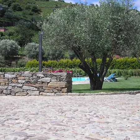Farm stay Quinta Madureira Alfoloes