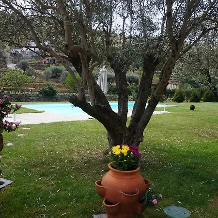 Farm stay Quinta Madureira