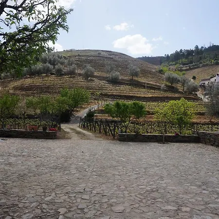 Alojamento de Turismo Rural Quinta Madureira Alfoloes