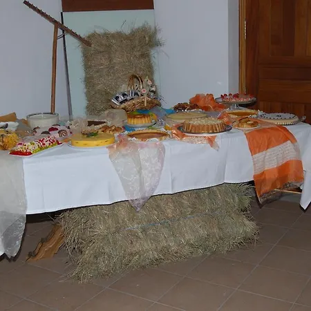 Farm stay Quinta Madureira Alfoloes