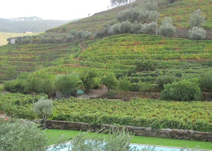 مزرعة للإقامة Quinta Madureira *