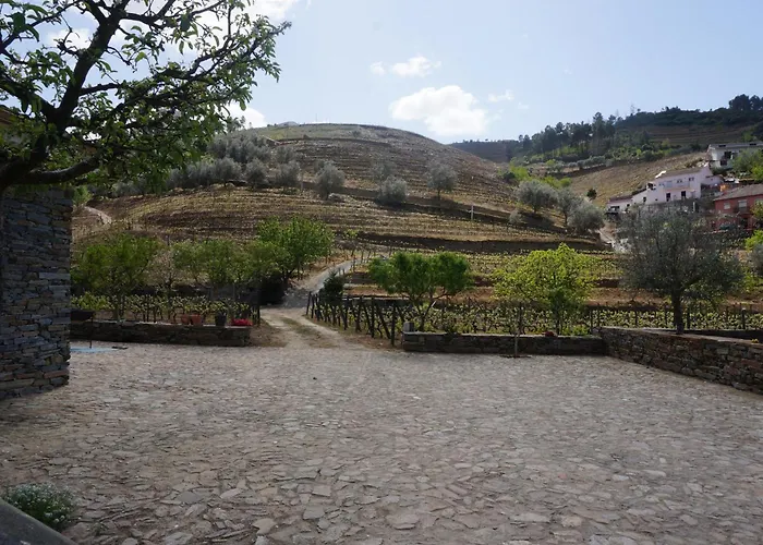 Quinta Madureira مزرعة للإقامة Alfoloes